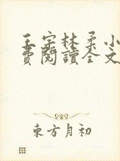 王宇林柔小说免费阅读全文最新章节