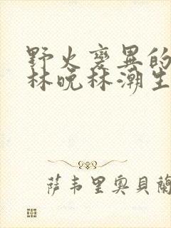 野火变异的父爱林晚林潮生