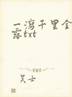 一泻千里金银花露txt