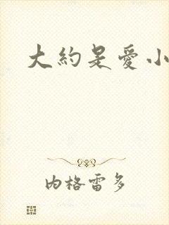 大约是爱小说