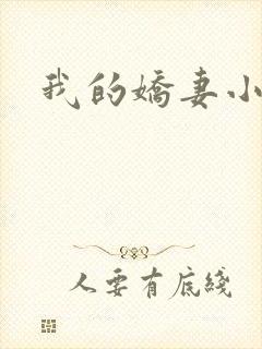 我的娇妻小说封面