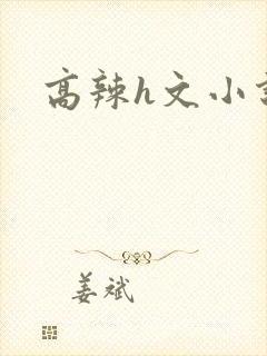 高辣h文小说封面