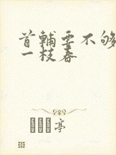 首辅要不够po一枝春封面