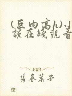 (巨肉高h)小说在线观看