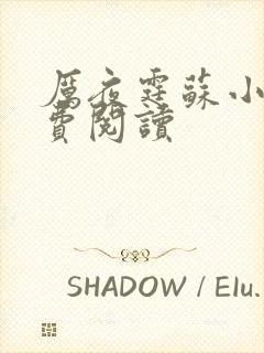 厉夜霆苏小汐免费阅读