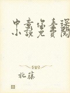 中意你秦琛苏沫小说免费阅读