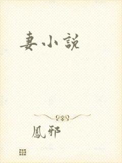妻小说