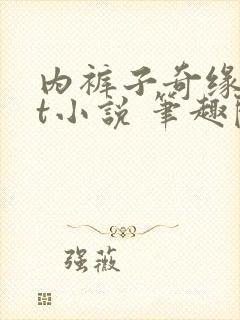 内裤子奇缘txt小说 笔趣阁