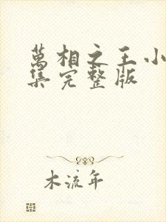 万相之王小说全集完整版