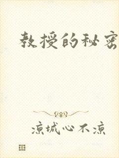 教授的秘密封面