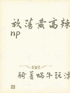 放荡黄高辣h文np