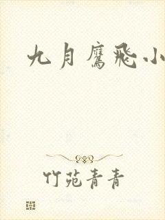 九月鹰飞小说封面