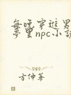 每晚穿进男神的梦里npc小说
