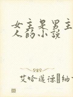女主是男主的情人的小说