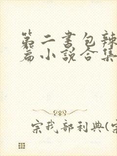 第二书包辣网短篇小说合集