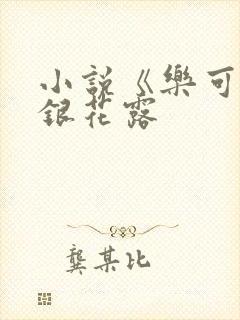 小说《乐可》金银花露封面