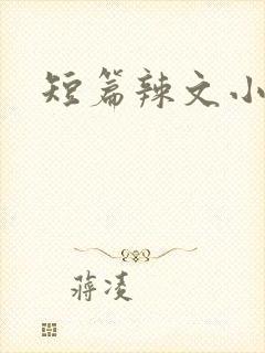 短篇辣文小说