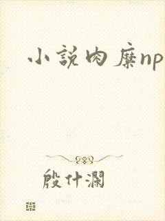 小说肉糜np