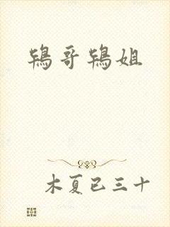 鸨哥鸨姐封面