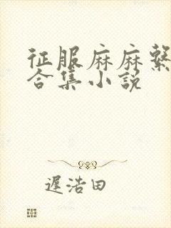 征服麻麻系列大合集小说