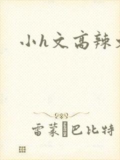 小h文高辣文