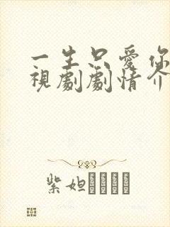 一生只爱你 电视剧剧情介绍封面