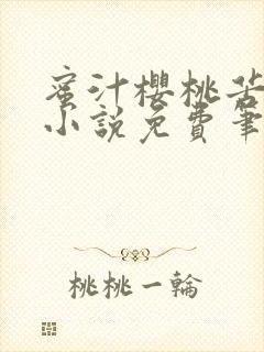 蜜汁樱桃苦咖啡小说免费笔趣阁封面