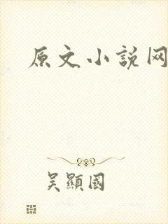 原文小说网