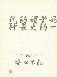 我的媚骨妈妈林轩最火的一句