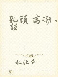 乳头 高潮 小说