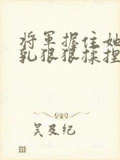 将军握住她的双乳狠狠揉捏小说封面