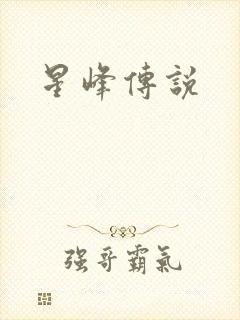 星峰传说封面