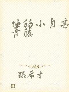 他的小月亮by青藤封面