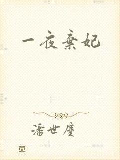 一夜弃妃封面