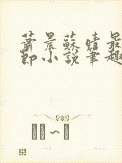 萧晨苏晴最新章节小说笔趣阁