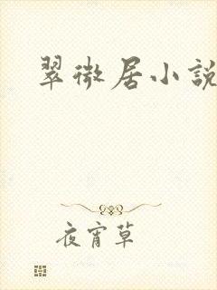 翠微居小说