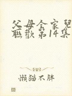 父母全家儿女大联欢第14集