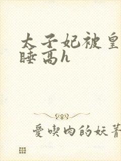 太子妃被皇上强睡高h