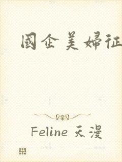 国企美妇征途封面