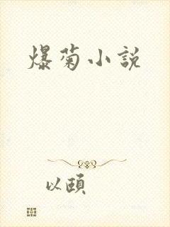 爆菊小说封面