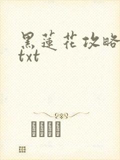 黑莲花攻略手册txt封面