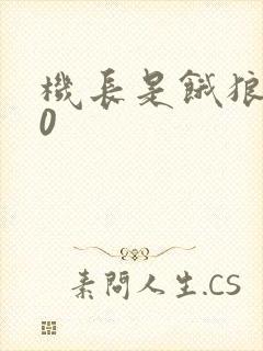 机长是饿狼第10封面