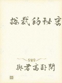 总裁的秘密情人