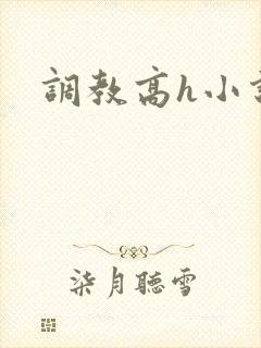 调教高h小说封面