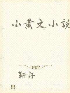 小黄文小说封面