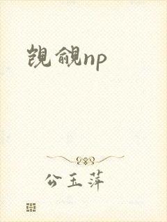 觊觎np