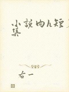 小说肉h短篇合集