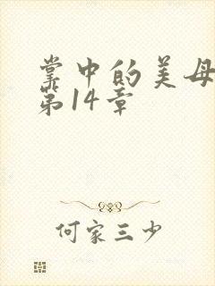 掌中的美母版主第14章