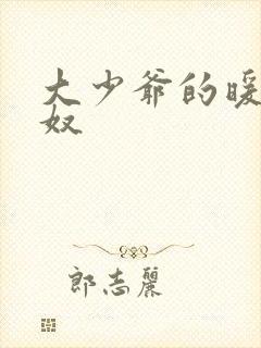 大少爷的暖床小奴