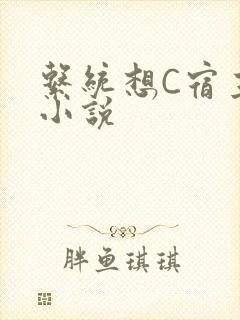 系统想C宿主的小说